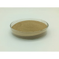 Bacillus Subtilis Bacillus Licheniformis Probiotic Powder for Plant